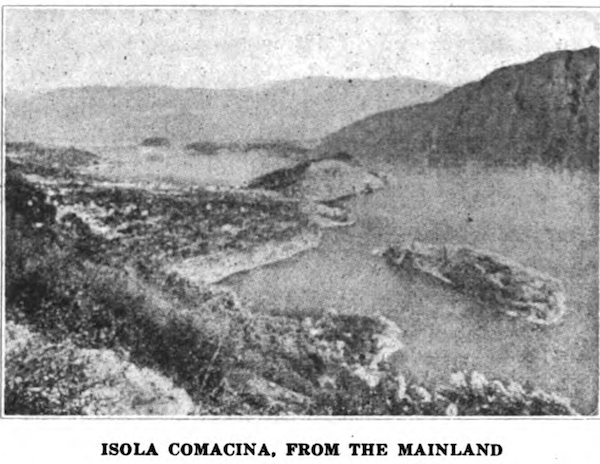 comacina